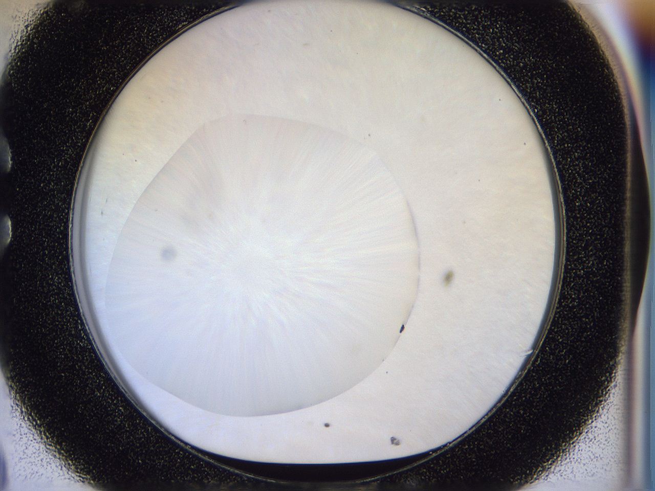 056d_C8_ImagerDefaults_0.jpg
