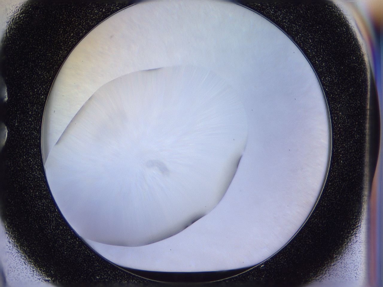056d_C9_ImagerDefaults_0.jpg