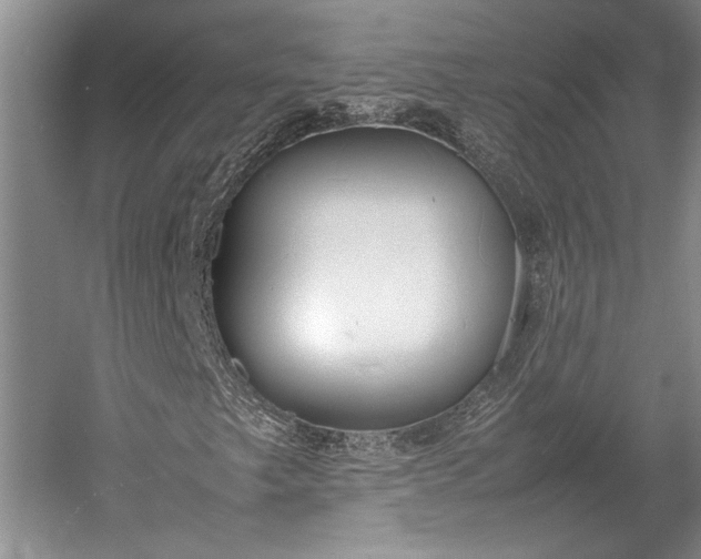 X0000055061249200508161636.png