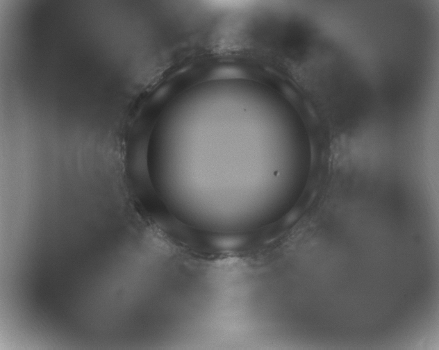 X0000054730426200508171857.png