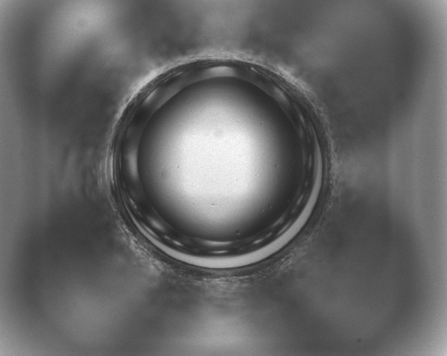 X0000040731272200410201642.png