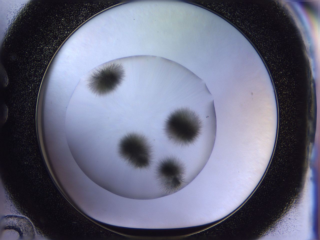056d_C12_ImagerDefaults_7.jpg