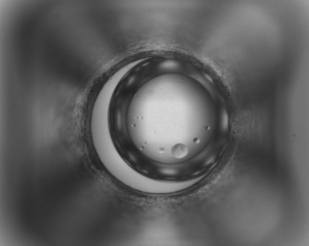 X0000044150922200412271250.png