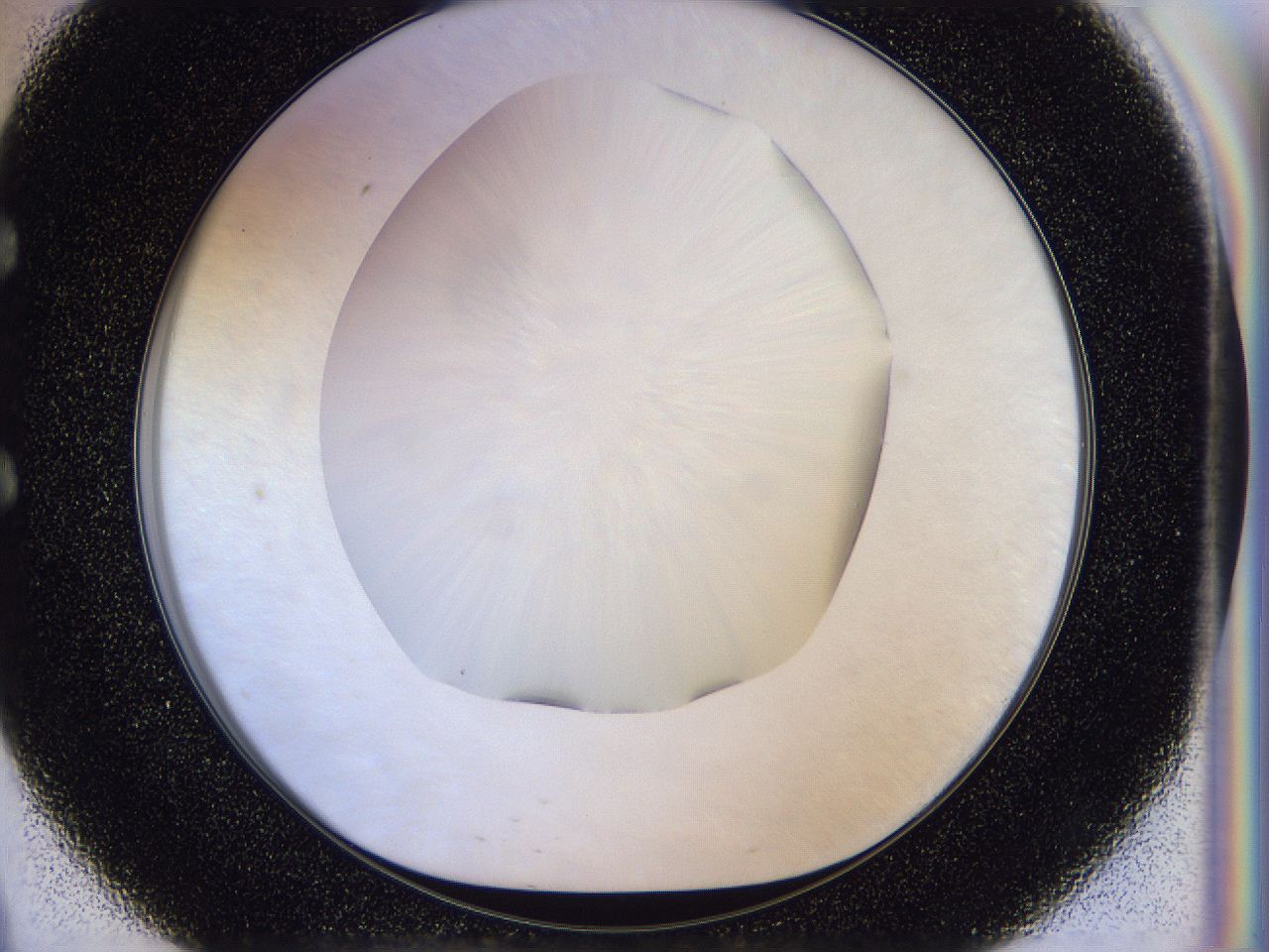 056d_E9_ImagerDefaults_0.jpg
