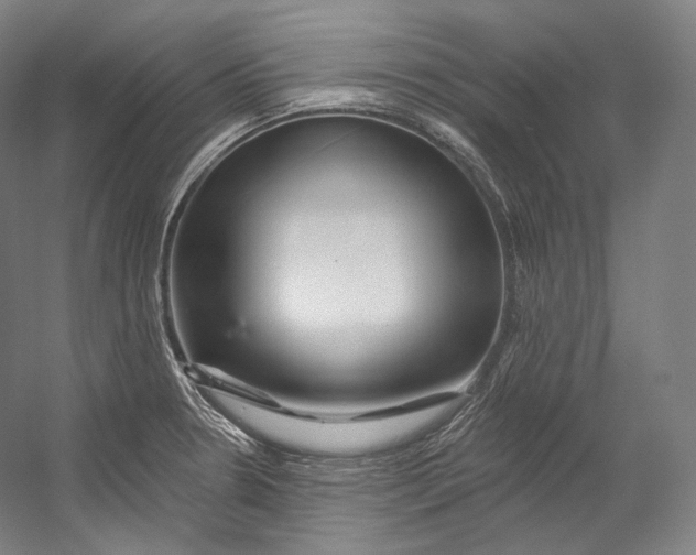 X0000055211330200508301311.png