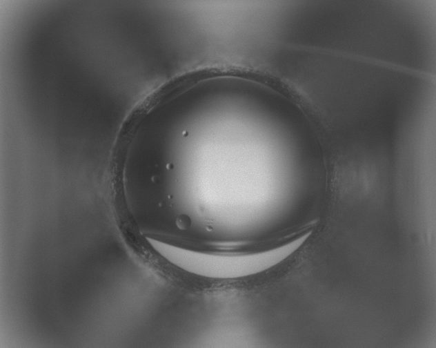 X0000054930730200508291631.png