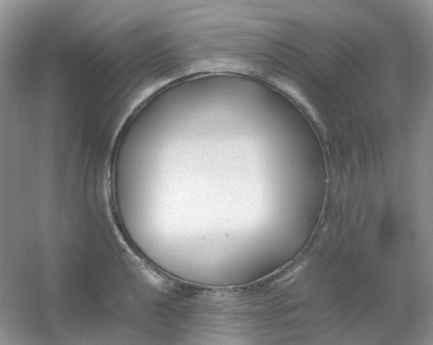 X0000054331040200508111914.png