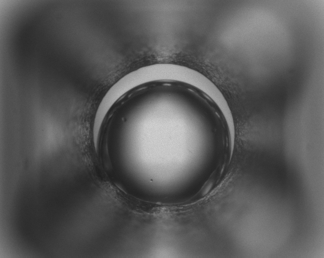 X0000044400082200412290442.png