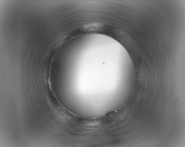 X0000054330643200508111920.png