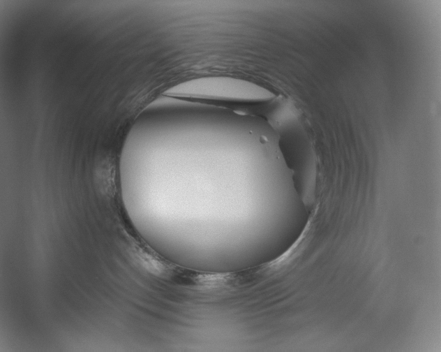 X0000055210192200508301331.png