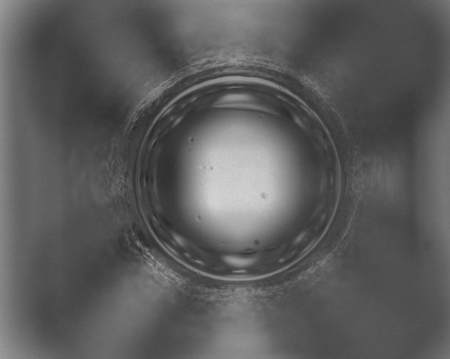 X0000051110922200507141753.png