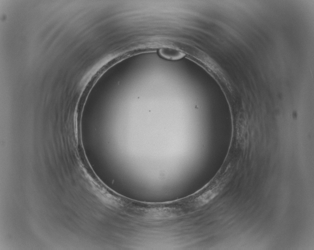 X0000054650988200508091637.png