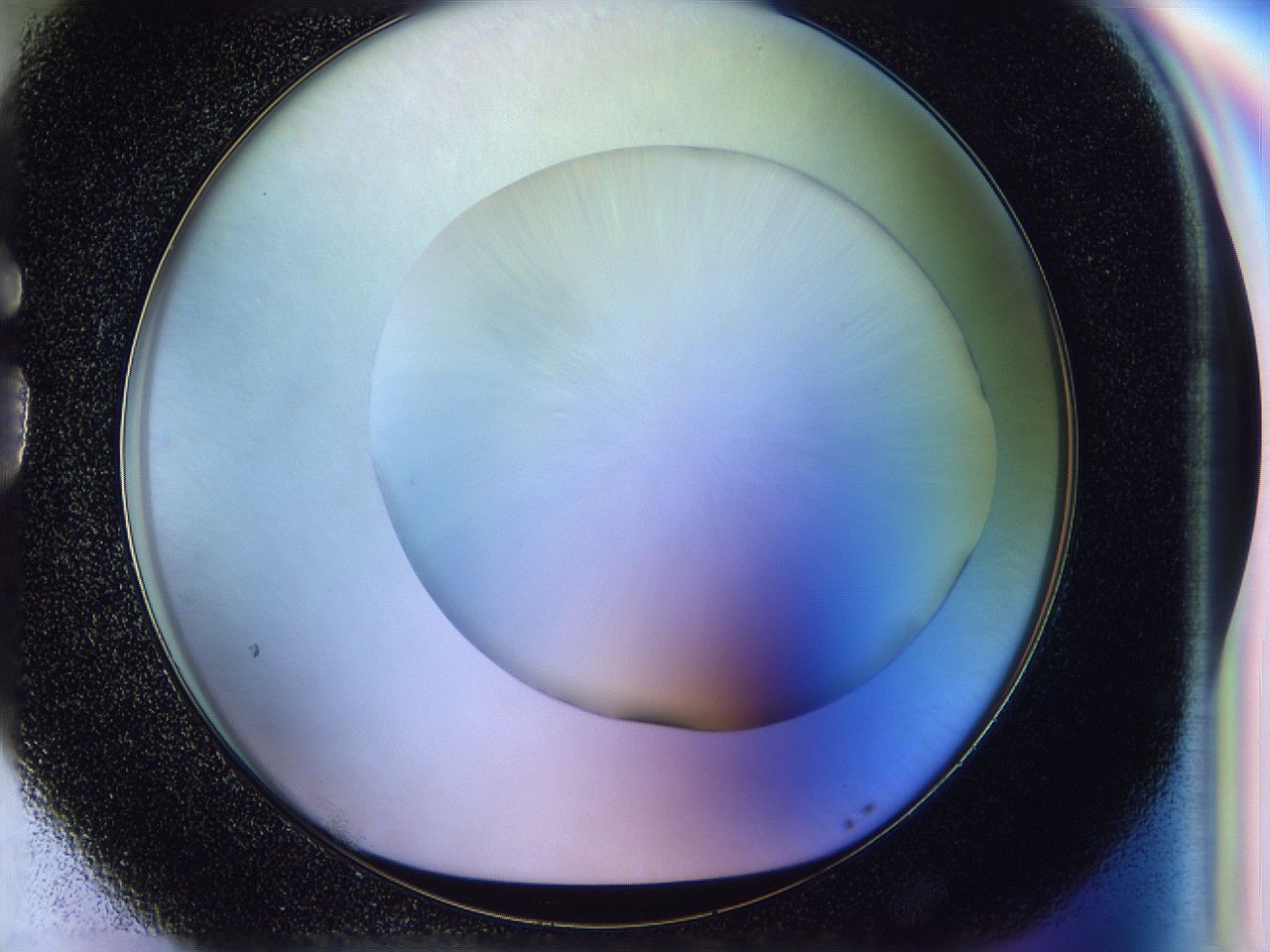056d_G5_ImagerDefaults_0.jpg