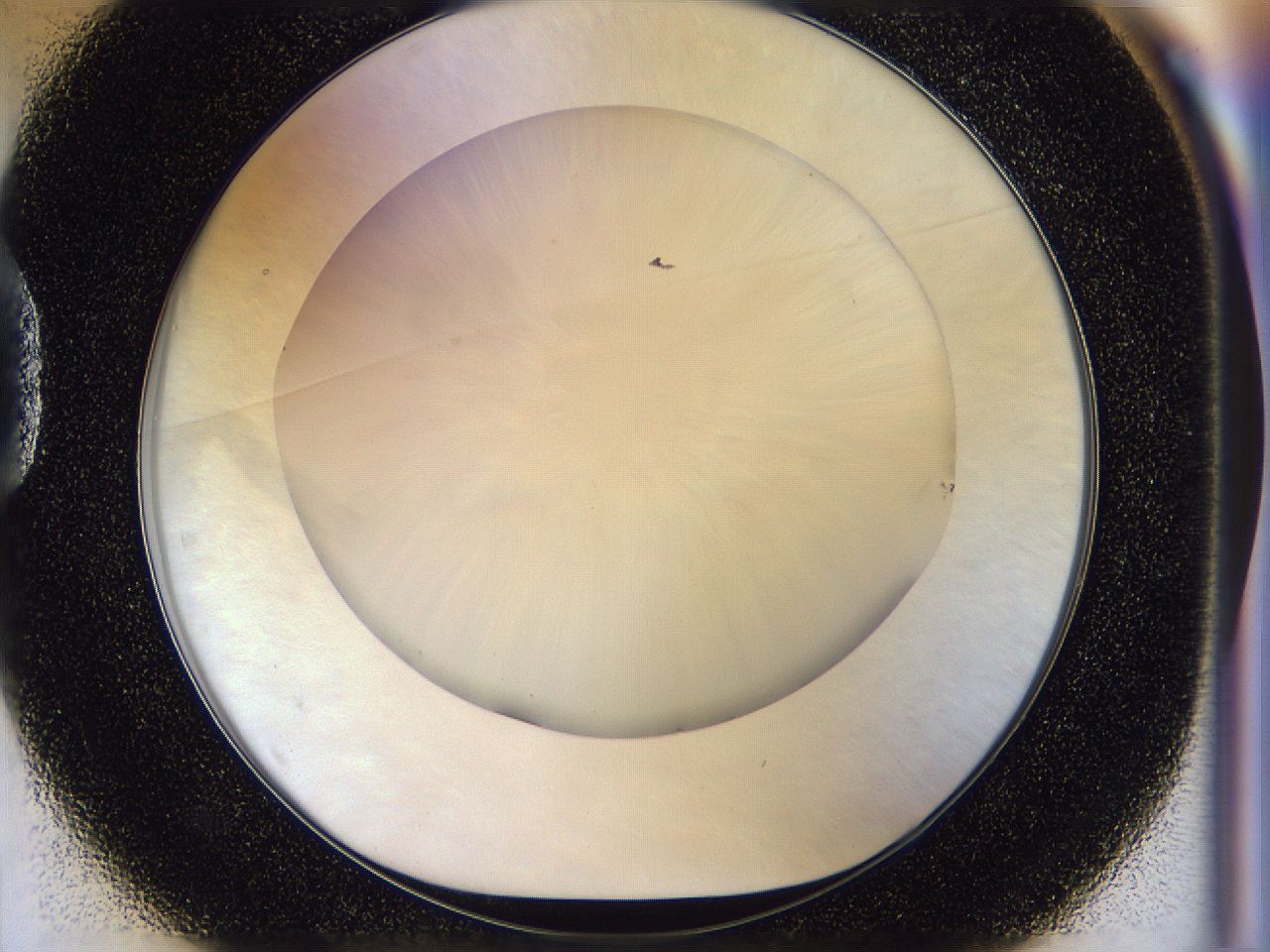 056d_D1_ImagerDefaults_0.jpg