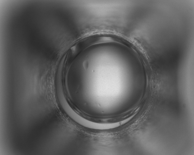 X0000052021337200507181616.png