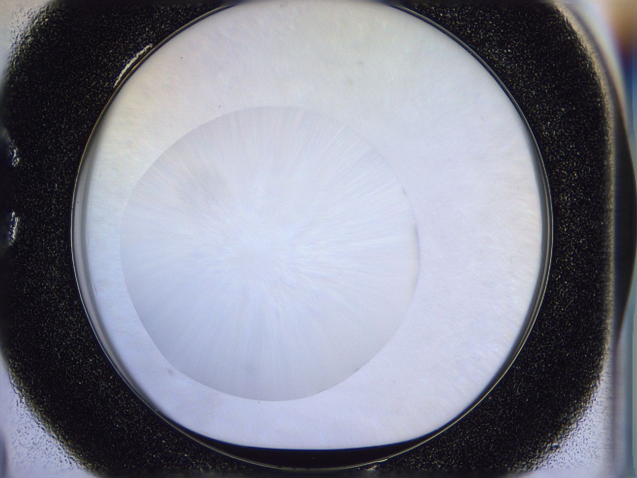 056d_C4_ImagerDefaults_0.jpg
