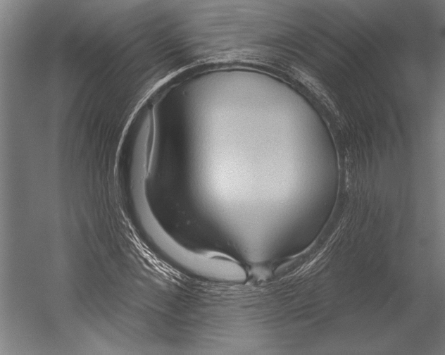 X0000055250876200509071613.png
