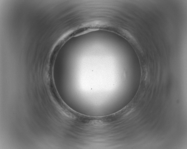 X0000054330392200508111924.png