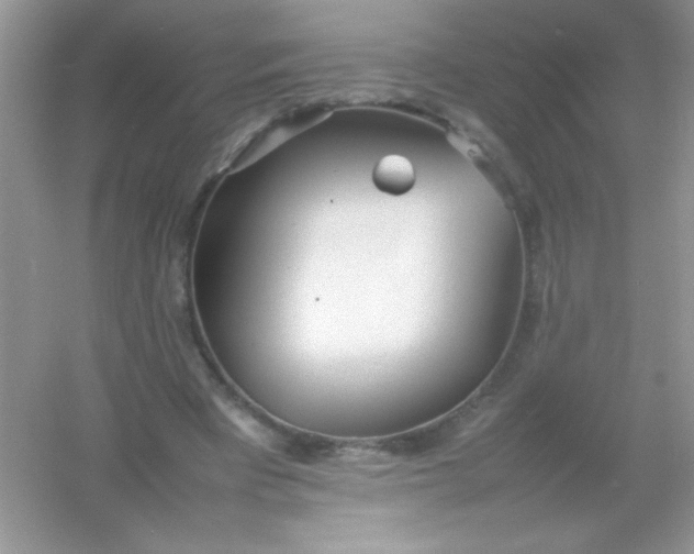 X0000054330393200508111924.png