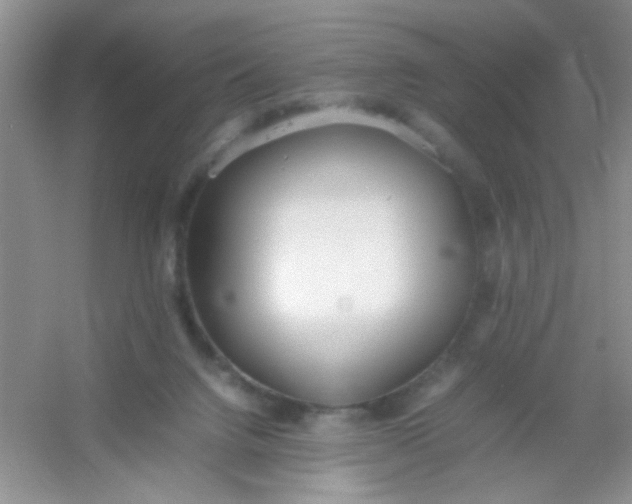 X0000054330072200508111930.png