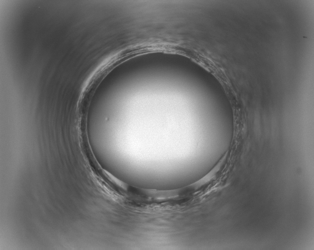X0000055060197200508161654.png