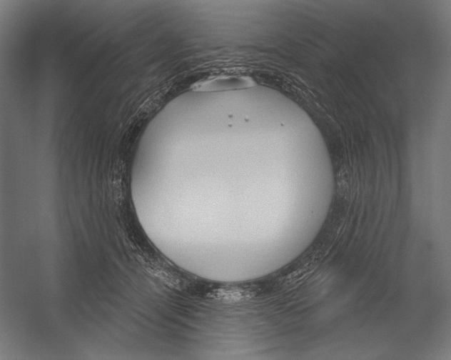 X0000055250464200509071620.png
