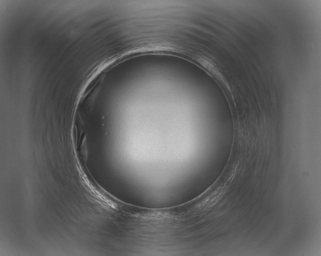 X0000055210797200508301320.png