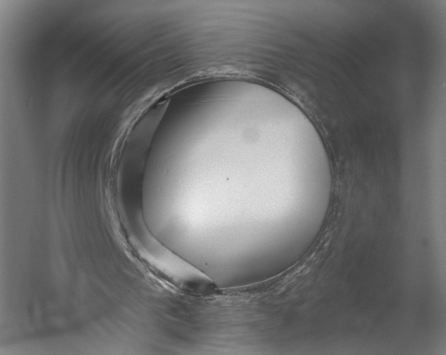 X0000055210193200508301331.png
