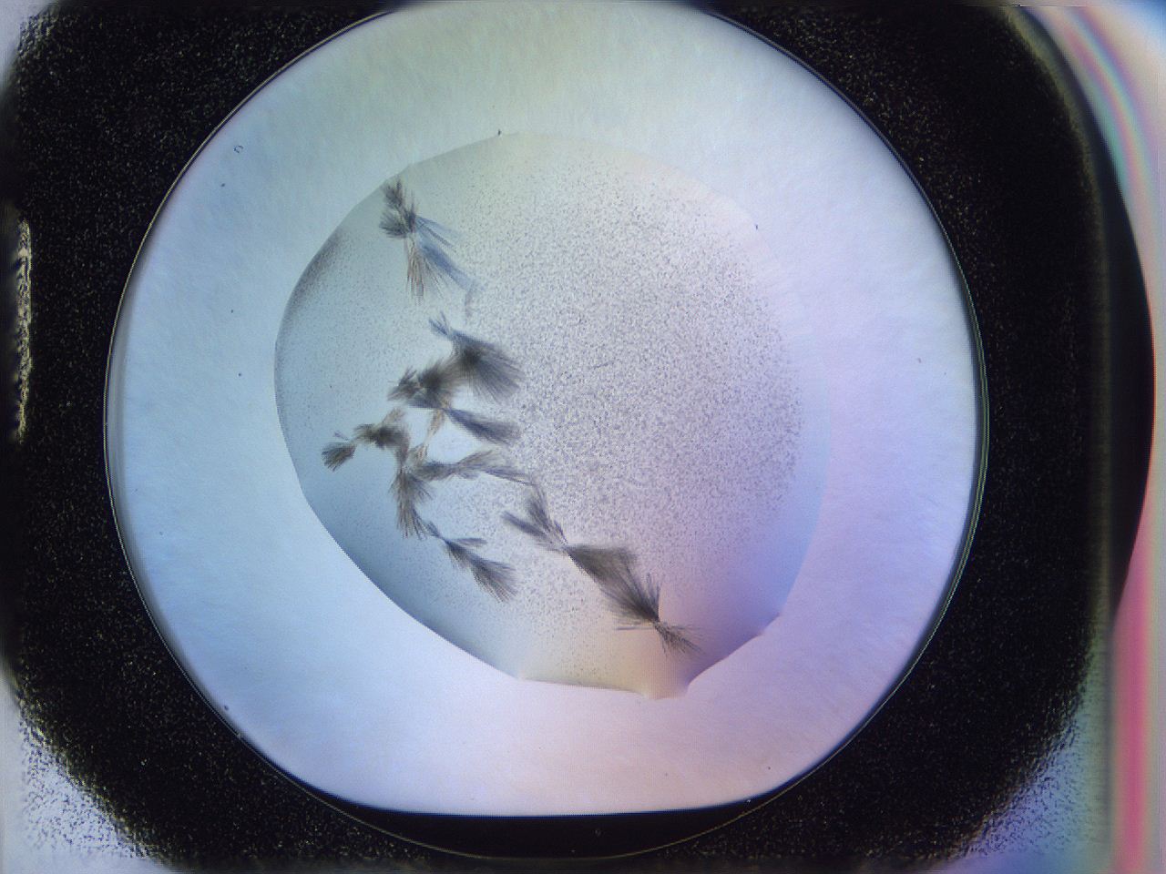 056d_H4_ImagerDefaults_7.jpg