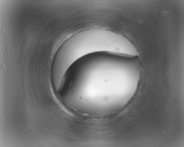 X0000054330049200508111930.png