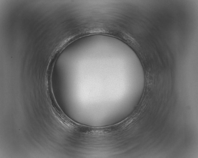 X0000055210298200508301329.png
