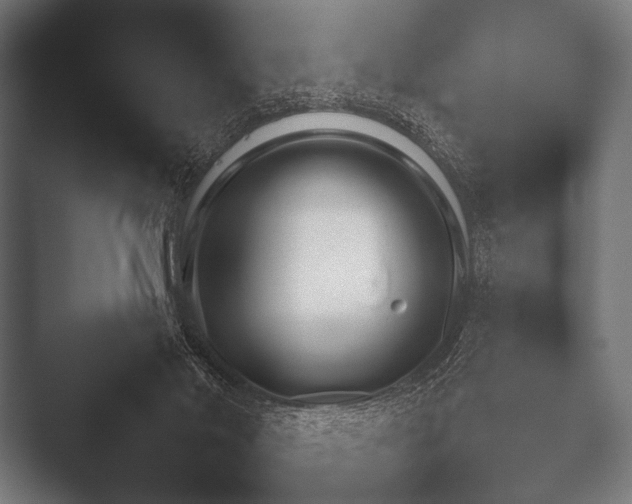 X0000052020022200507181638.png