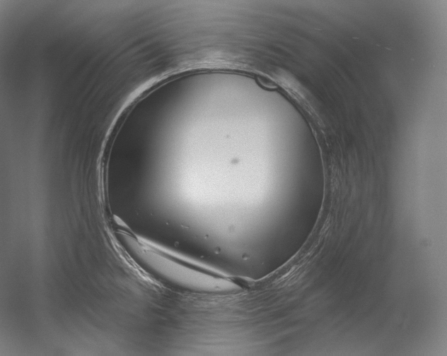 X0000055211238200508301313.png