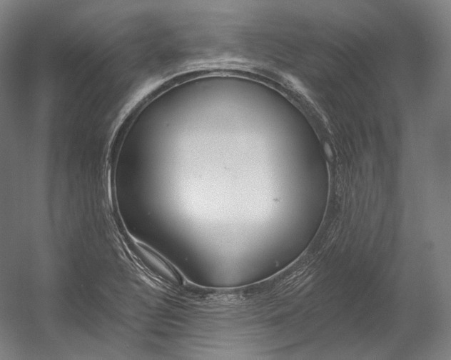 X0000055211320200508301311.png