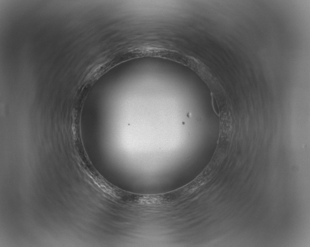 X0000055210762200508301321.png