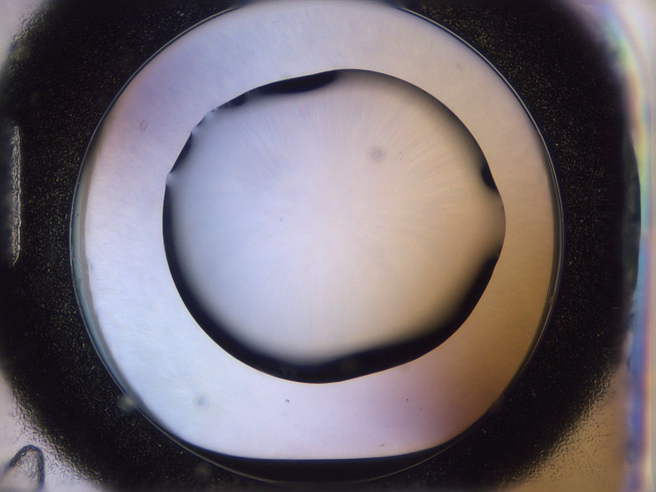 056d_H11_ImagerDefaults_0.jpg
