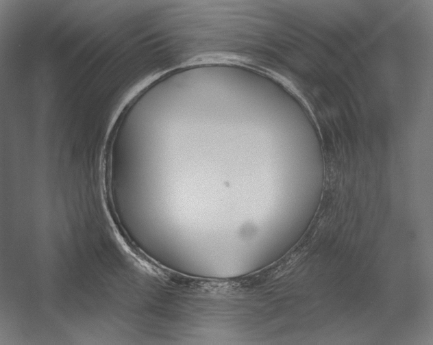 X0000055251003200509071610.png