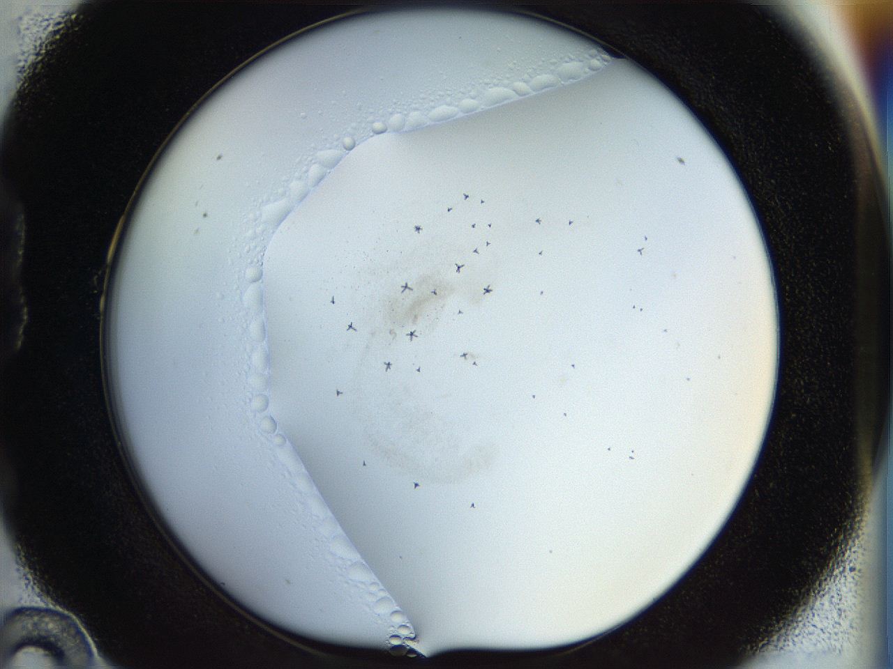056e_B10_ImagerDefaults_6.jpg