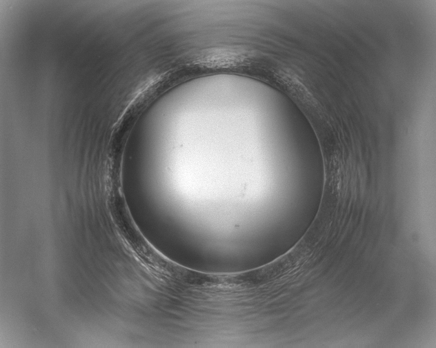 X0000055060400200508161651.png