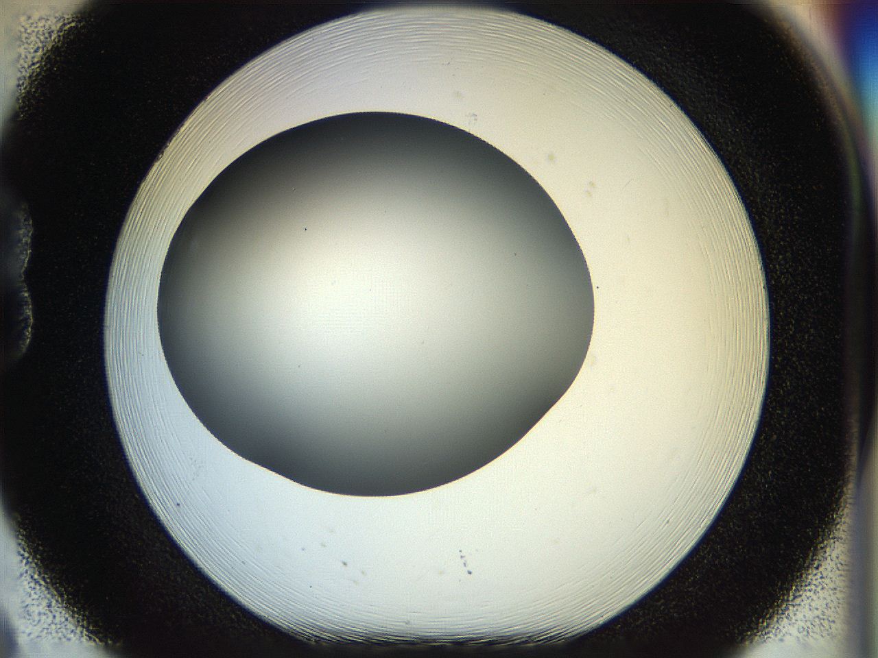 056e_B8_ImagerDefaults_0.jpg