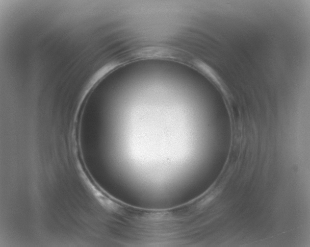 X0000054331434200508111907.png