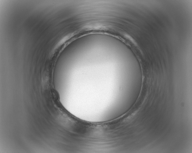 X0000054330922200508111915.png