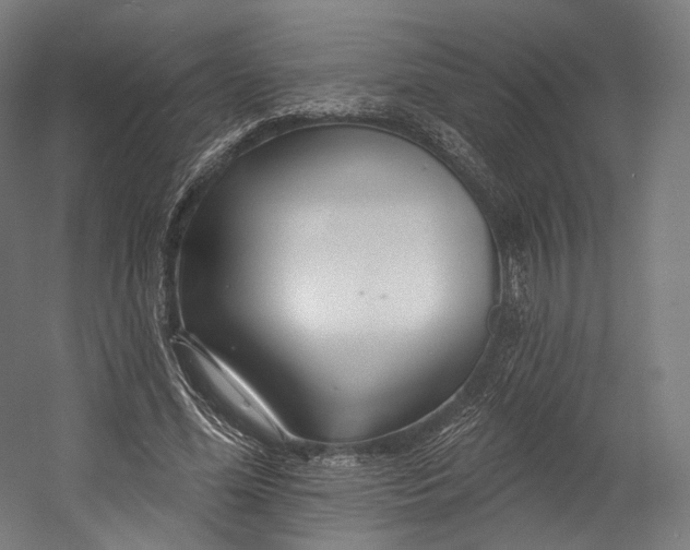 X0000055210588200508301324.png