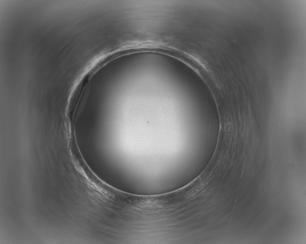 X0000055211414200508301310.png