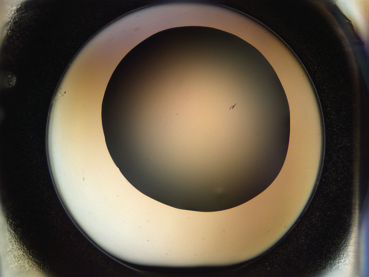 056e_F1_ImagerDefaults_0.jpg