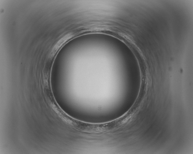 X0000054651273200508091632.png