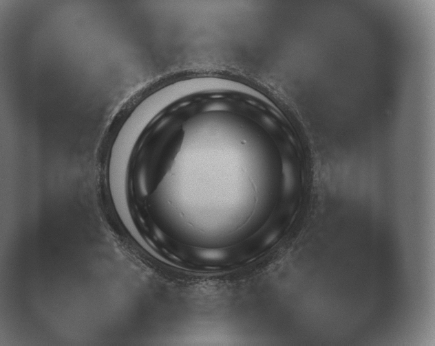 X0000038850584200410131830.png