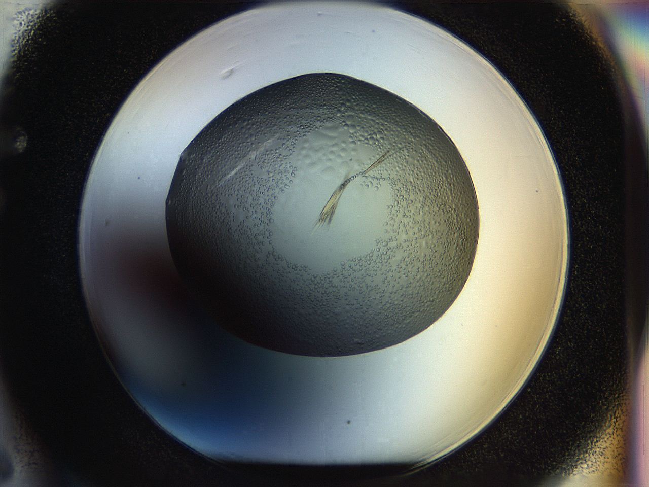 056e_F6_ImagerDefaults_7.jpg