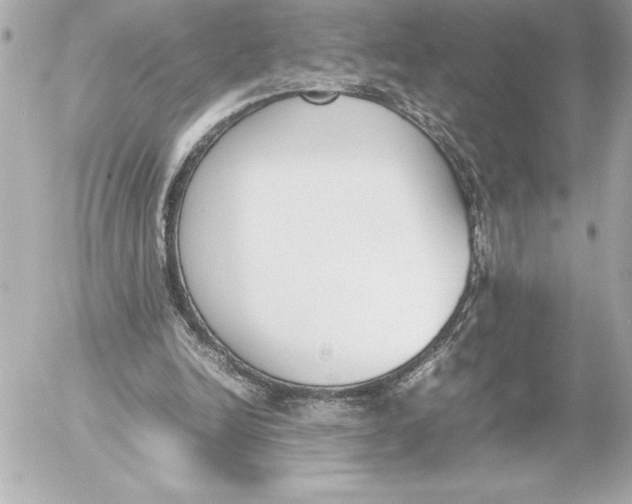 X0000054230246200508171519.png