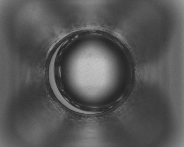 X0000040561260200411021419.png